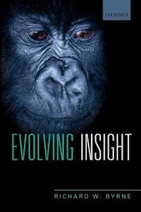 Evolving Insight - Click Image to Close