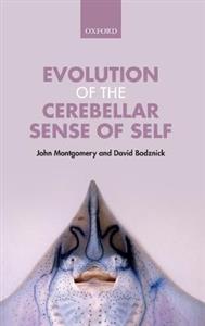 Evolution of the Cerebellar Sense of Self