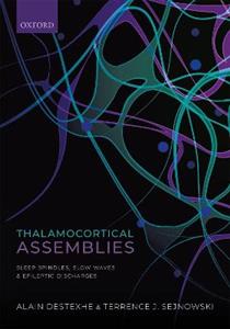 Thalamocortical Assemblies Sleep spindles, slow waves and epileptic discharge - Click Image to Close