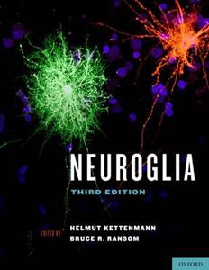 Neuroglia