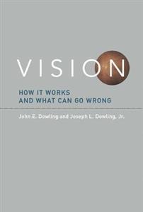 Vision: How It Works and What Can Go Wrong - Click Image to Close
