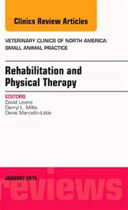 Rehabilitation and Physical Therapy, An