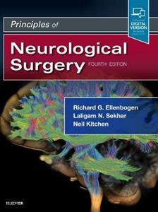 Principles of Neurological Surgery - Click Image to Close