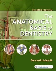 The Anatomical Basis of Dentistry - Click Image to Close