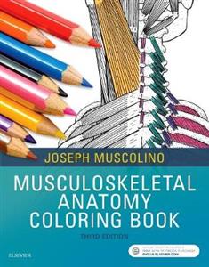 Musculoskeletal Anatomy Coloring Book - Click Image to Close
