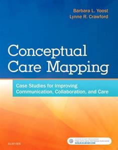 Conceptual Care Mapping: Case Studies - Click Image to Close