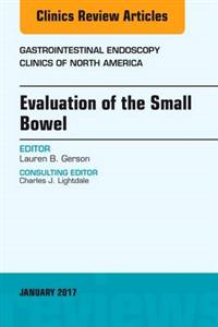 Evaluation of the Small Bowel, An Issue