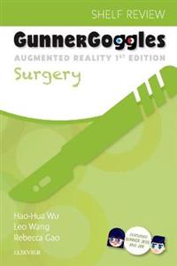 Gunner Goggles Surgery: Honors Shelf Rev - Click Image to Close