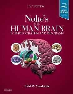 The Human Brain Photographs Diagrams 5e - Click Image to Close