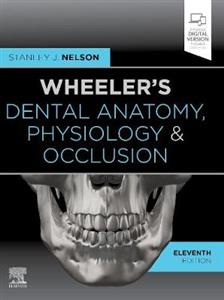 Wheeler's Dental Anatomy,Physiology 11E - Click Image to Close