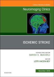 Ischemic Stroke, Issue of Neuroimaging - Click Image to Close