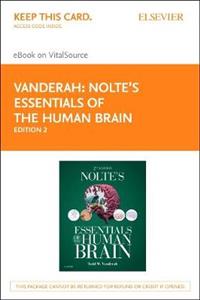 Nolte's Essentials of the Human Brain - Click Image to Close