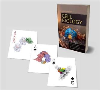 Cell Biology Playing Cards - Click Image to Close