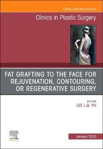 Fat Grafting Face Rejuvenation, Contour