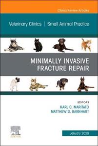 Minimally Invasive Fracture Repair - Click Image to Close