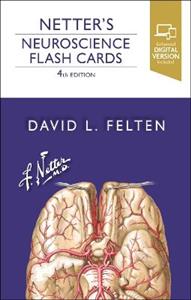 Netter's Neuroscience Flash Cards 4E