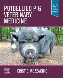 Potbellied Pig Veterinary Medicine - Click Image to Close