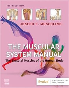 The Muscular System Manual: The Skeletal Muscles of the Human Body