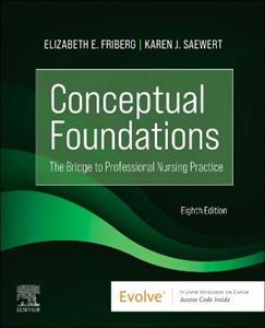 Conceptual Foundations: The Bridge to Professional Nursing Practice - Click Image to Close