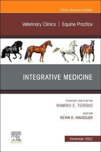 Integrative Therapies