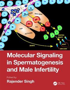 Molecular Signaling in Spermatogenesis and Male Infertility - Click Image to Close