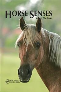 Horse Senses - Click Image to Close