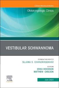 Vestibular Schwannoma - Click Image to Close