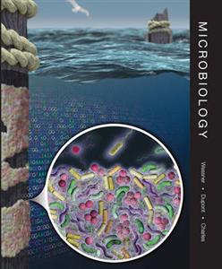 Microbiology: Applications and Connections