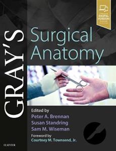 Gray's Surgical Anatomy - Click Image to Close