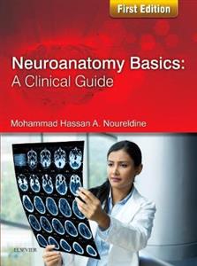 Neuroanatomy Basics: A Clinical Guide - Click Image to Close