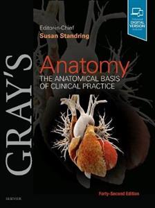 Gray's Anatomy 42E - Click Image to Close