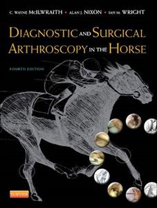 Diagnostic Surgical Arthroscopy Horse 4e - Click Image to Close