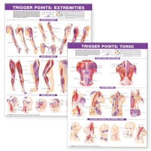 Trigger Point Chart Set: Torso amp; Extremities Lam