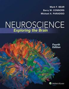 Neuroscience: Exploring the Brain 4e