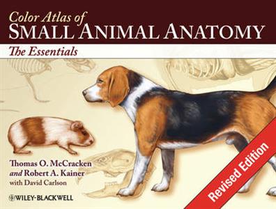 Color Atlas of Small Animal Anatomy: The Essentials - Click Image to Close