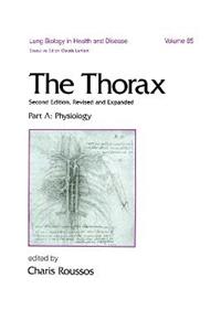 The Thorax -- Part A - Click Image to Close