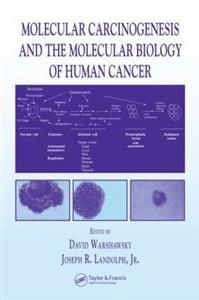 Molecular Carcinogenesis and the Molecular Biology of Human Cancer