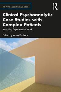 Clinical Psychoanalytic Case Studies with Complex Patients: Watching Experience at Work - Click Image to Close