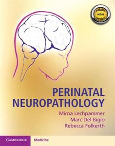 Perinatal Neuropathology - Click Image to Close