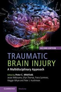Traumatic Brain Injury: A Multidisciplinary Approach - Click Image to Close