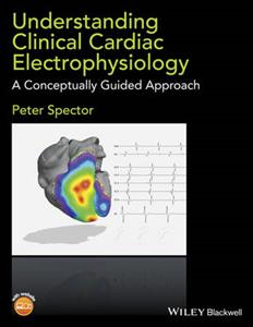 Understanding Cardiac Electrophysiology: A Conceptually Guided Approach