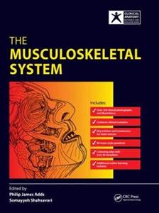 The Musculoskeletal System - Click Image to Close