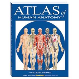 Atlas of Human Anatomy