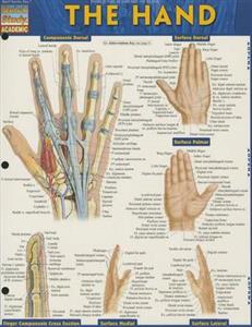 The Hand