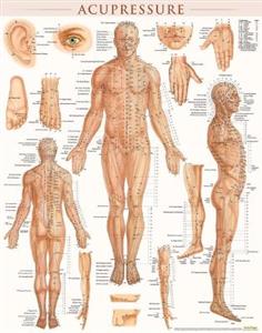 Acupressure-Laminated