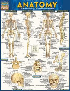 Anatomy - Reference Guide - Click Image to Close