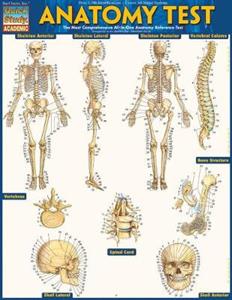 Anatomy Test Reference Guide