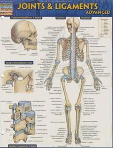 Joints amp; Ligaments Advanced