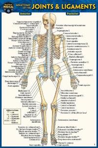 Anatomy of the Joints amp; Ligaments (Pocket-Sized Edition - 4x6 Inches) 2/e