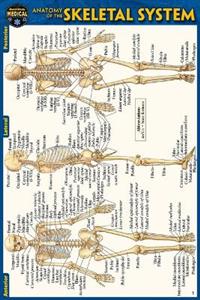Anatomy of the Skeletal System (Pocket-Sized Edition - 4x6 Inches) 2/e